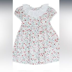 Bella Bliss White Floral Dress with Red and Green Accents SZ 3